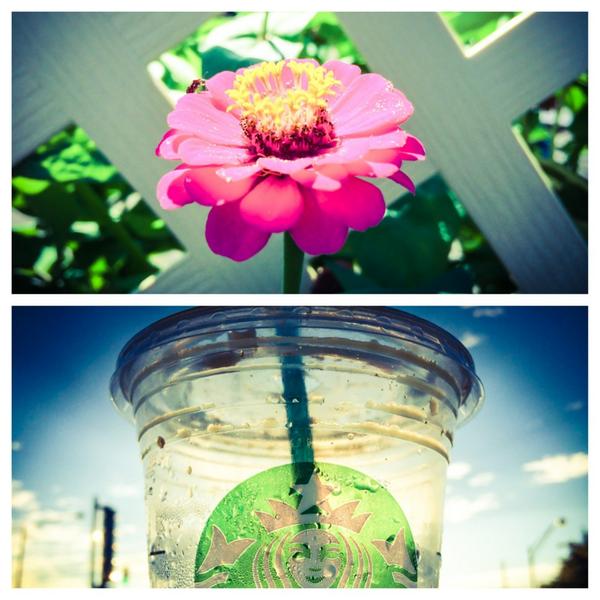mpthecomebackid's tweet photo. #picstitch #lifeinacup #dramatic @stryker598 http://t.co/x9C0mYIRAe