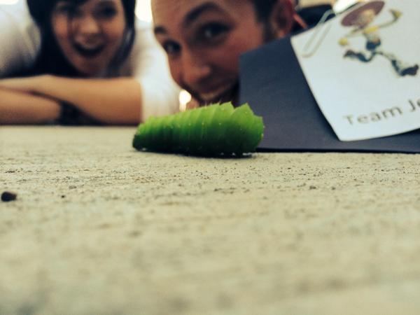 RoadRally5's tweet photo. #ImABeautifulButterfly #5 http://t.co/lBYEfCF80V