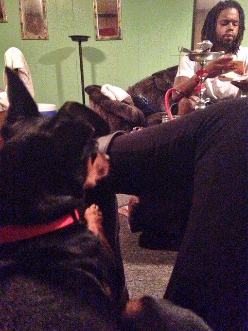 My boys 😌 http://t.co/6x0RdBqzH4<a href="/tag/newprofilepic"class="tags"><span>#newprofilepic</span></a>