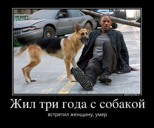 AnfisaEYe's tweet photo. http://t.co/NKcbO8q1Ws