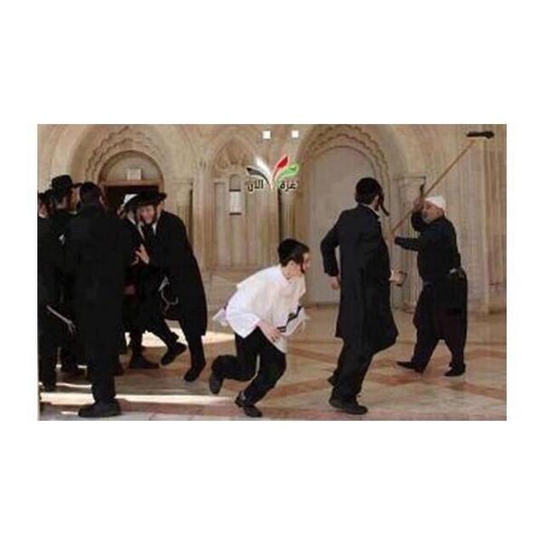 77UU7's tweet photo. فلسطيني يطرد المستوطنين الصهاينة بالمقشة من باحة احد المساجد

ماذا تقول لهذا الرجل ؟
. ⬅️ http://t.co/EKxanJGCur