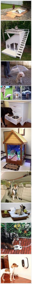 The dog's life is much more better than mine...~ 
(That  is a long picture) #dogs