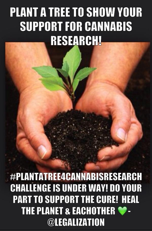 #PlantATree4CannabisResearch DO IT! ✊🌱