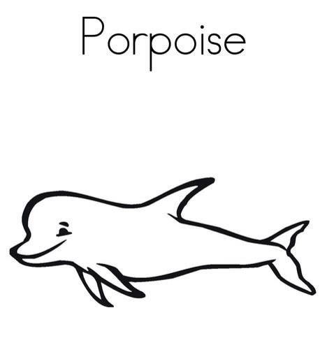 sdhf15a's tweet photo. @JBF12A would've been radder if it was a porpoise http://t.co/175weUzCkc