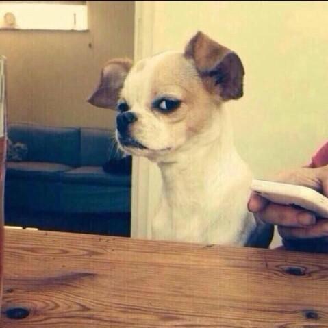 FMichelleAraujo's tweet image. &quot;@HectorDlaO: Que fue primero Unix o lenguaje c? #ChisteDeProgramador&quot; #nidiorisa #nadieleentendio