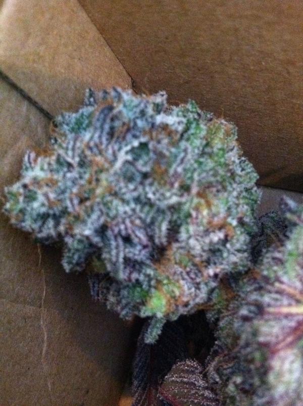 GuyTahoe's tweet photo. Yup http://t.co/D2tIiayPyZ
