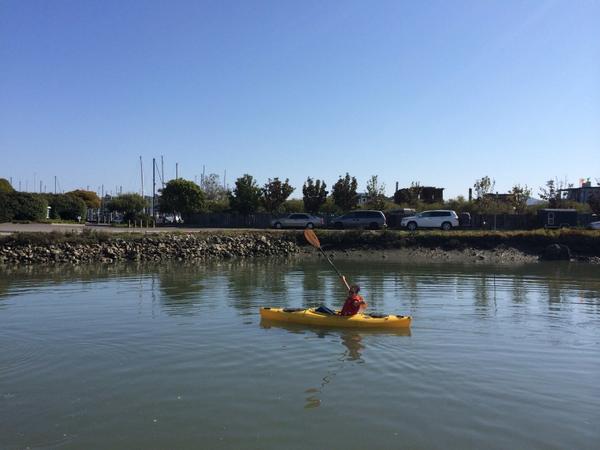 Dana Shavin (@danashavin) on Twitter photo 