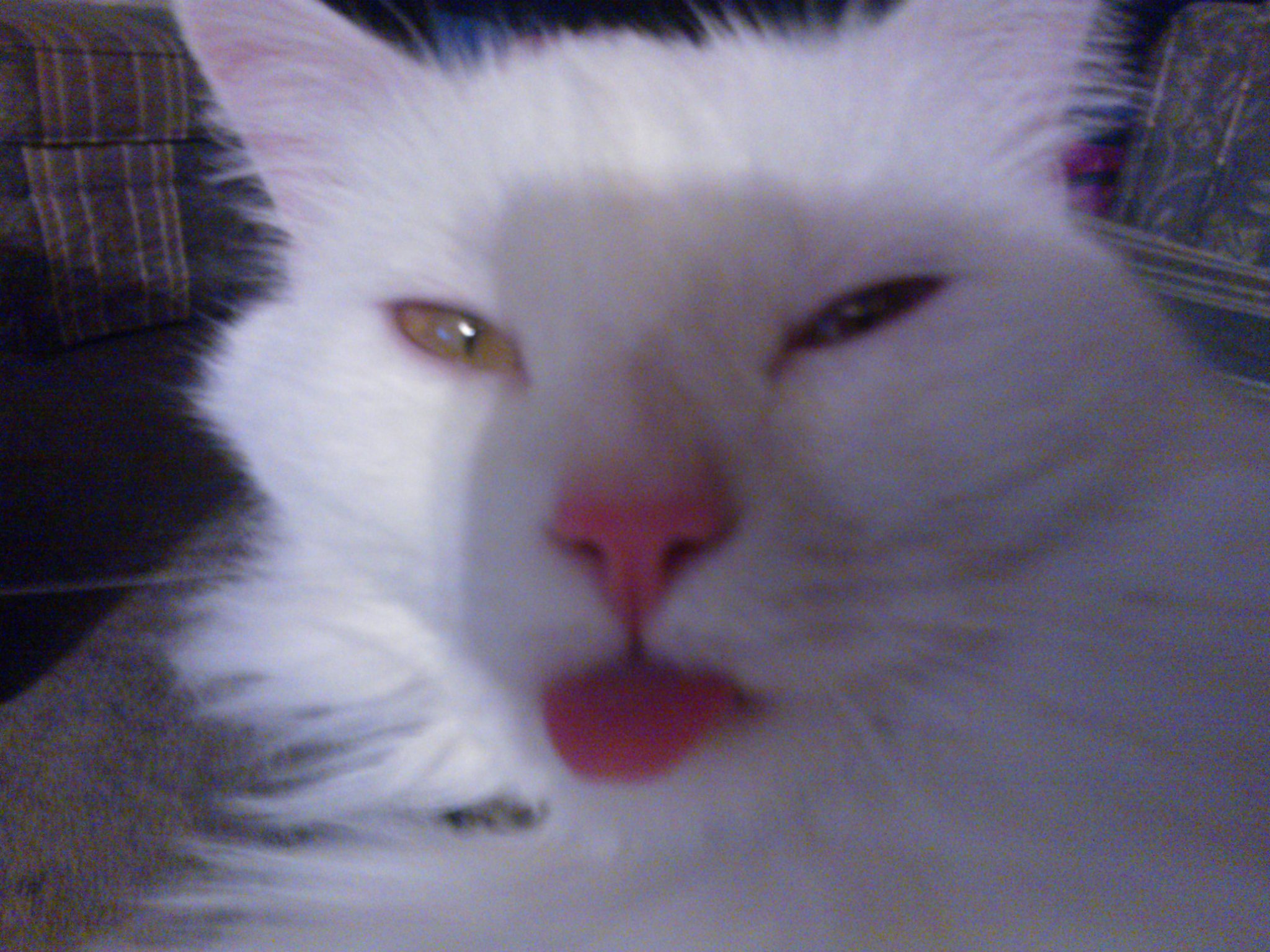  Happy Birthday Mike Smith, 