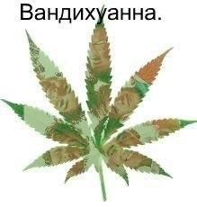 unicornRabbit_'s tweet photo. Обожаю *оо* http://t.co/oN67LakbkN