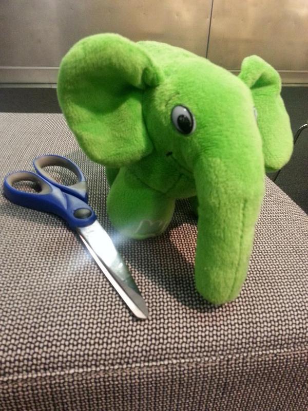 phpnz14thief's tweet image. We want to reassure you @dkcwd that he's safe. For now. #phpnz14