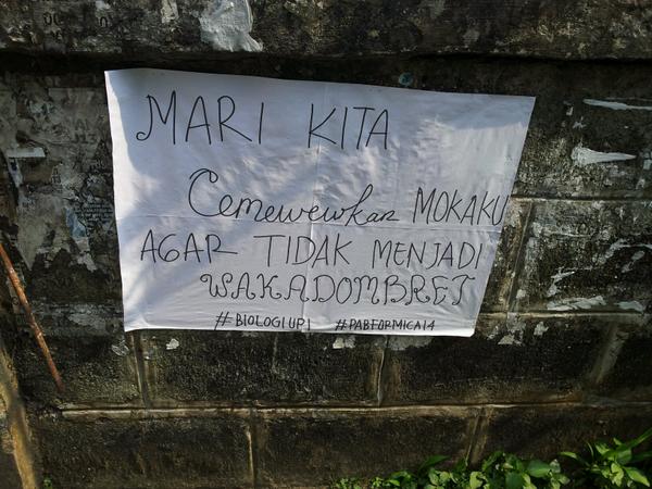 DPM HMBF UPI tweet media