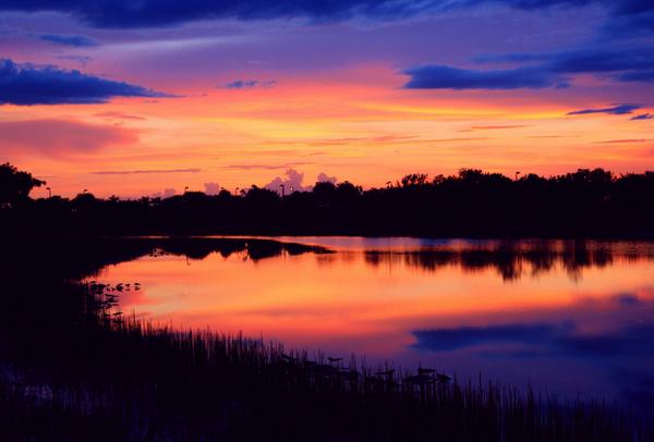 [photo] Light It Up! by PelicanPete Sunset ~ Boca Raton, Florida U.S.A. 

(five more pho... flic.kr/p/oVdHYM