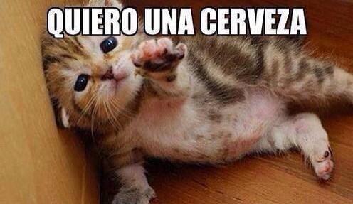AngieMont91's tweet photo. Venga, ya en serio.... 😢 #Ineed http://t.co/Y6zWItntTa