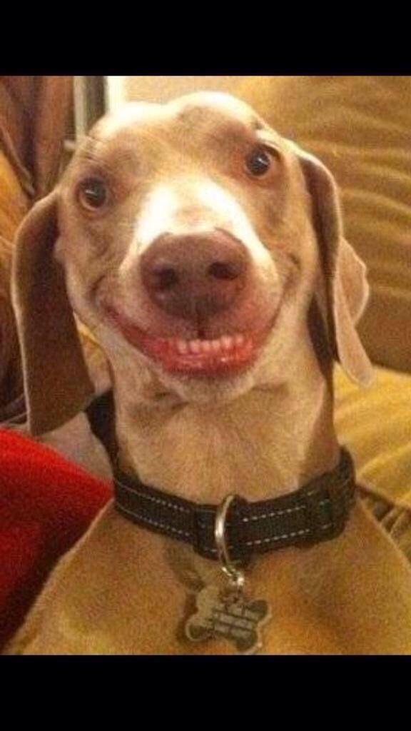 OMGitschappo's tweet image. Morning