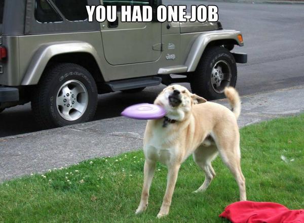 <a href="/ameliasprenger/">Amelia Sprenger</a>