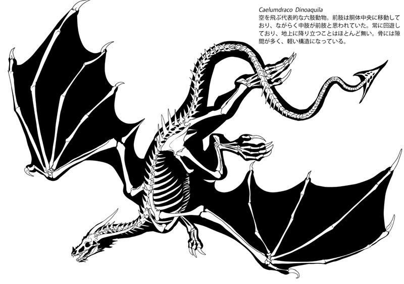 ｇｗ در توییتر 竜類骨格図集 ガウルの翼 Gw 同人誌通販のアリスブックス Http T Co Egsfezrnll ドラゴン 六肢動物 の形態と進化についてまとめた 骨格イラスト本です やすいよ 250円 Http T Co R7kwyp4f84
