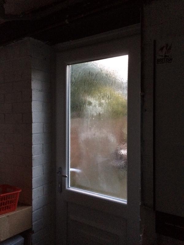 theofficechimp's tweet photo. #freaky http://t.co/TezE2xhll3