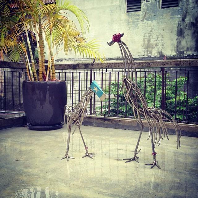 Embedded image permalink