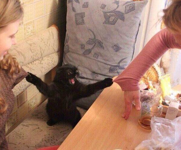 omgrelatabIe's tweet photo. when you're trying to tell a story but your friends aren't listening http://t.co/04Tesfp0zD