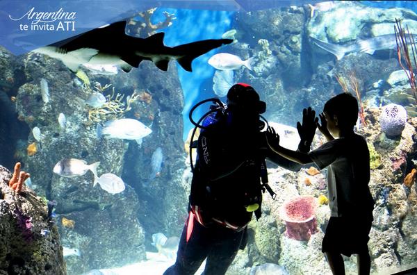 A pocos km de #BuenosAires se encuentra el Bioparque <a href="/Temaiken/">Fundación Temaikèn</a>, realiza actividades educativas goo.gl/Id2GZi