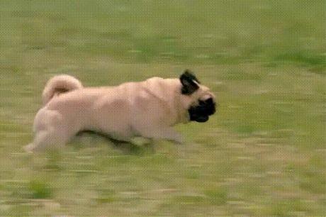 blake_forster's tweet photo. Owned http://t.co/y9p34bOq6d via @9GAG lol http://t.co/zMNFH6IF0Z