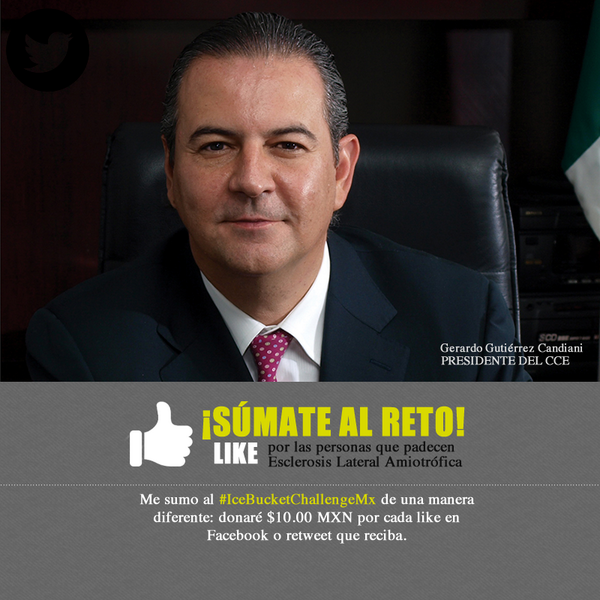 gcandianiof's tweet photo. Al igual que @Manuel_Arroyo, donaré $10mxn por cada RT que reciba a este tweet desde hoy, al 29 de agosto a las 6PM http://t.co/OGDZQo9WZH