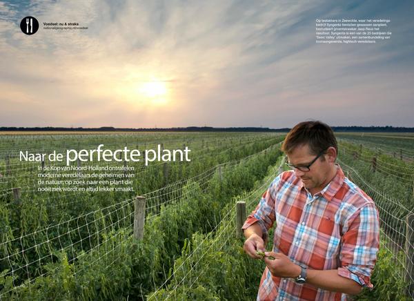 Reportage over Seed Valley in National Geographic. 80% van de zaden, wereldwijd, komt uit Nederland, van Seed Valley.