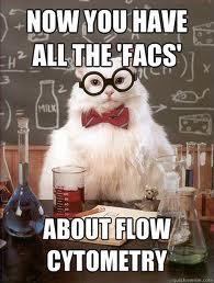 Emma_Rathbone's tweet image. I love this cat in glasses. Enough to put him in a presentation! #catinglasses #FACS #flowcytometry