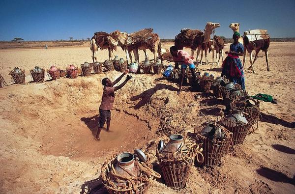 Fdeguglielmo's tweet photo. #searchawards : #water in the #deserthouse #watercrisis #waterscarcity #waterwastage #desertoperations #wildlife http://t.co/1XUaJ4rAF1