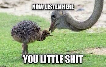 AndrewStromby's tweet image. When a 12 year old tries telling me I suck