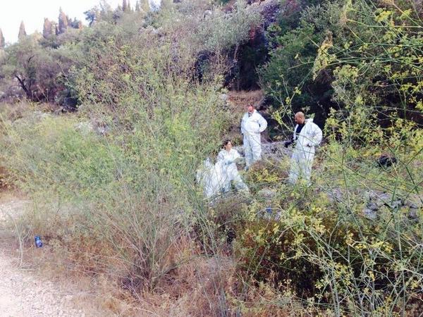 View image on Twitter