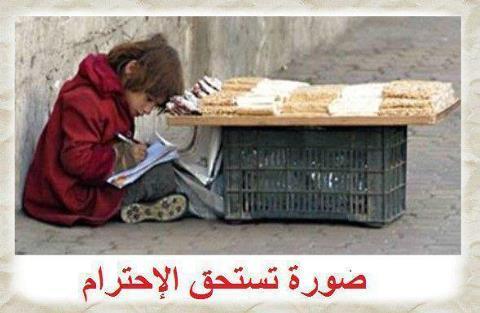 تستحق النشر وداعت عمري