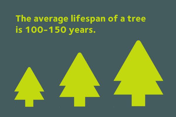 WasteManagement's tweet image. How&apos;s this for a long-term investment?

Pick up a service with us; make a lasting change for your community #treevia