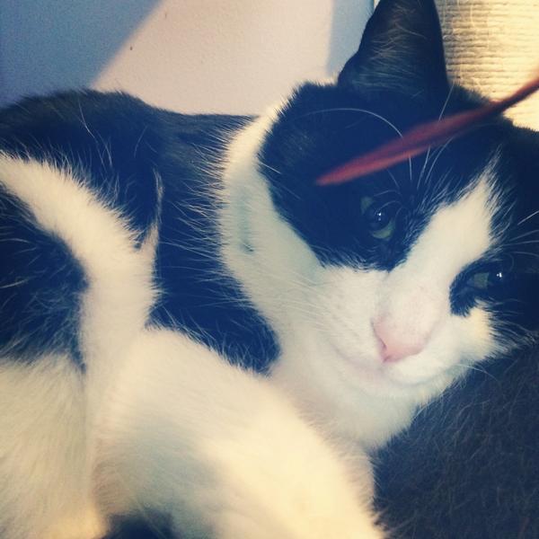 YesWeekWhitney's tweet image. Deep thoughts with Mr. Pimms.