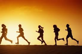 The Last Mile Racing tweet media