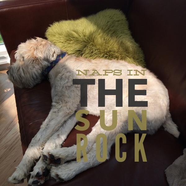 @CalBenassty more dog wisdom from Charles. Who's a big boy?