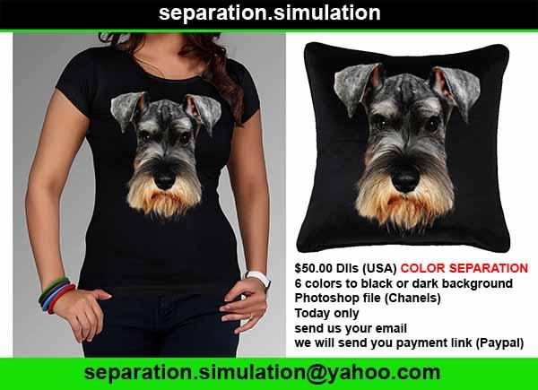 ColorsSepared's tweet image. new ideas, attractive designs, we work for you
opportunity.
development of designs for special separations