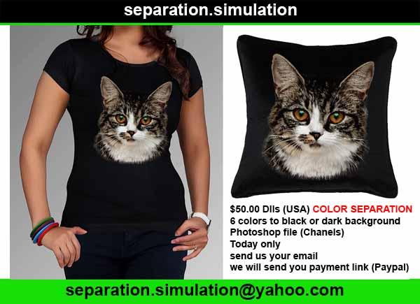 ColorsSepared's tweet image. We separate your designs for silkscreen print
no matter how difficult your design