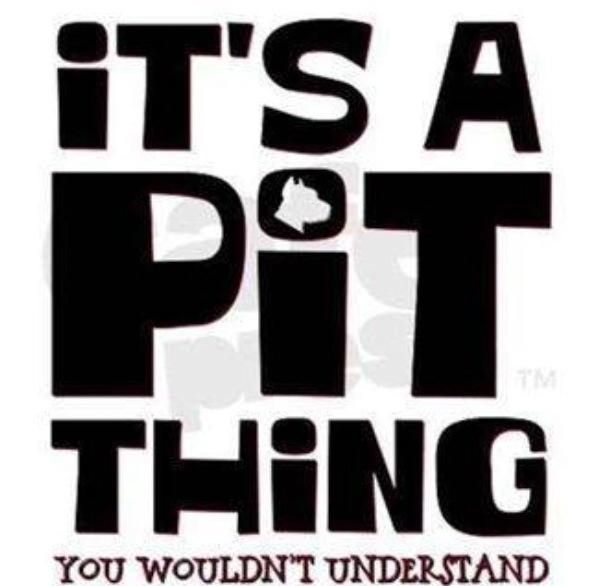 my pitbull is family