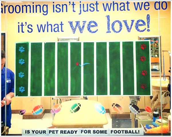 Day 59: #WNJ pets are ready for some football! 🏈🏈 <a href="/ChrisGliese/">Chris Gliese</a> <a href="/pbr4sr/">Sue Ryan</a> #100inspireddays #WNJ #inspiredbypets