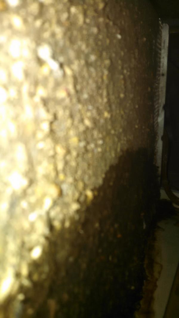 SteppAboveAC tweet picture