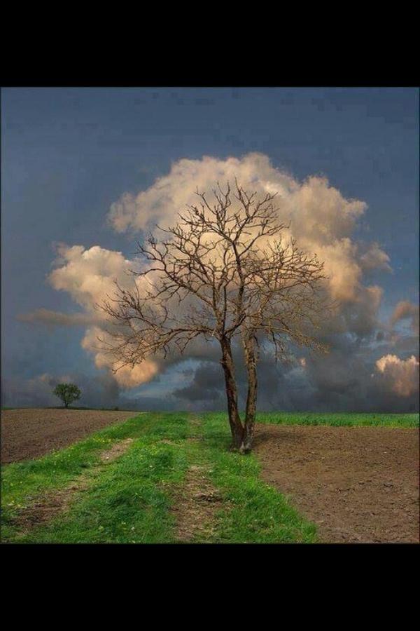 7Suaad's tweet photo. هجرها الورق وحضنها الغيم أعجبتني http://t.co/LN99iJA7Zh