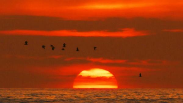 Earth pics tweet media