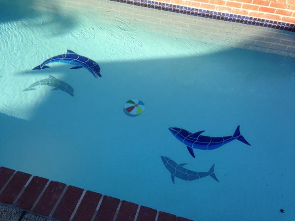 Pool_Mosaics's tweet photo. Celebrate Labor Day with huge savings on our entire stock of swimming pool mosaics! Ends 9/2 http://t.co/cpyNYfZerV http://t.co/SfvKR6ZXKu