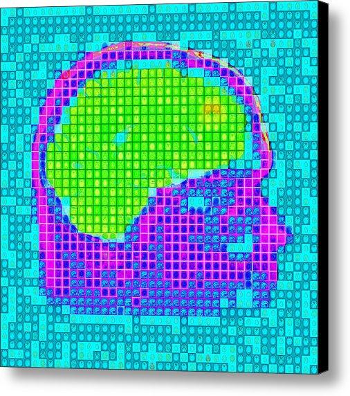 NeuronicoArt's tweet image. New artwork for sale! - "Sagittal Views Number 3" - fineartamerica.com/featured/sagit… @fineartamerica