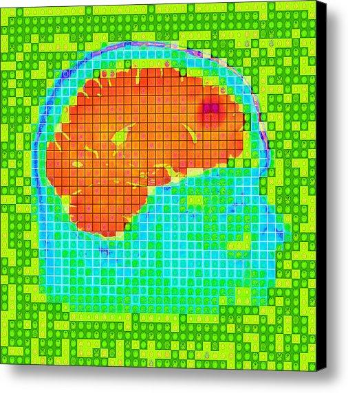 NeuronicoArt's tweet image. New artwork for sale! - "Sagittal Views Number 2" - fineartamerica.com/featured/sagit… @fineartamerica