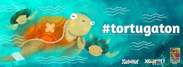 edificiosmayas's tweet photo. #Apoyemos "Salva tortugas" Cada vez que se use el HT #Tortugaton @XcaretPark y @XelHaPark donará 1peso http://t.co/KGL56Qtwhi