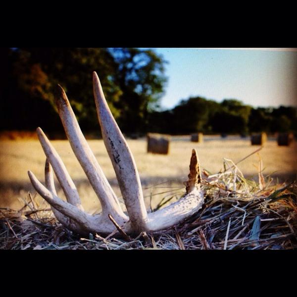 CraigMeyerHunt tweet picture
