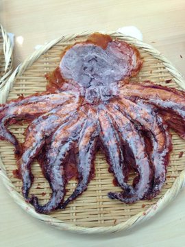 ためしてガッテン タコ 食べ方を知って得をする蛸レシピが紹介されました 15年12月2日 水 放送 Yonta64のテレビ番組ブログ