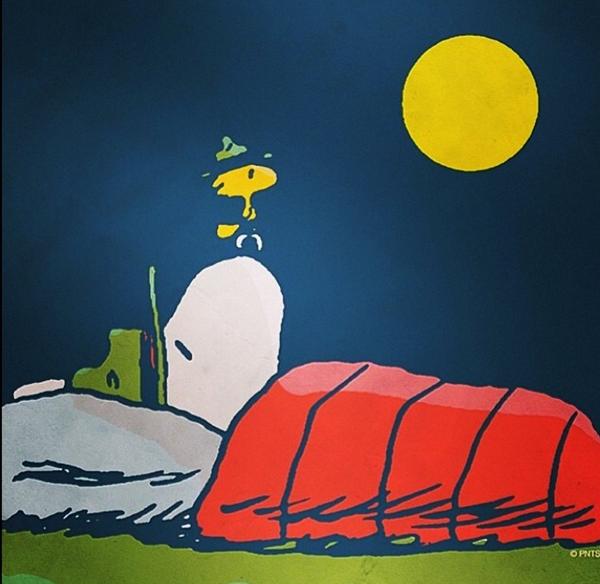 Snoopy's tweet photo. Goodnight, Twitter. 💤 http://t.co/nQlg7nQ0XR